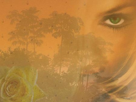 Ma libert&eacute; sent bon la lavande