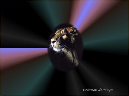 c'et pour toi tu te reconnaitra