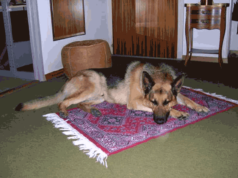 Que notre vie soit un sourire !