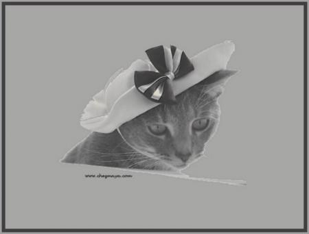 SI ONT POUVAIS TOUT ACHETER