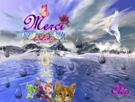 MERCI A TOUT LE MONDE