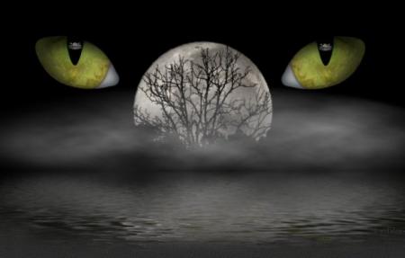 pour toi mes beaux yeux