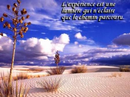 Paix Amour et Libert&eacute;