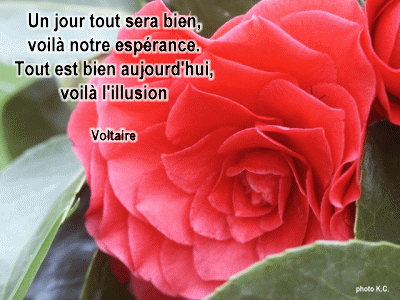 citation
