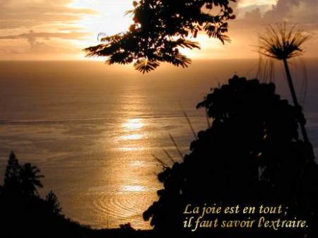 Douze raisons pour garder le sourire !