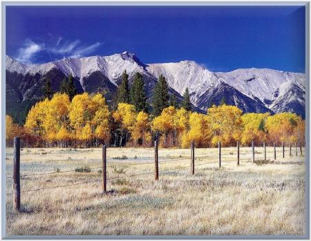 Je ne donne mon amour qu'&agrave; toi