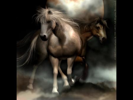 Chaque jour le c�ur d�une femme