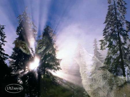 Pri&egrave;re du Loup