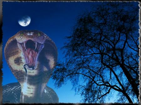 Le serpent qui danse