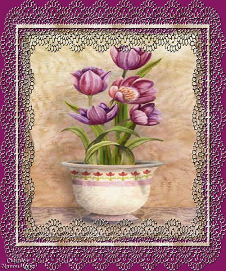 Une caresse chaleureuse