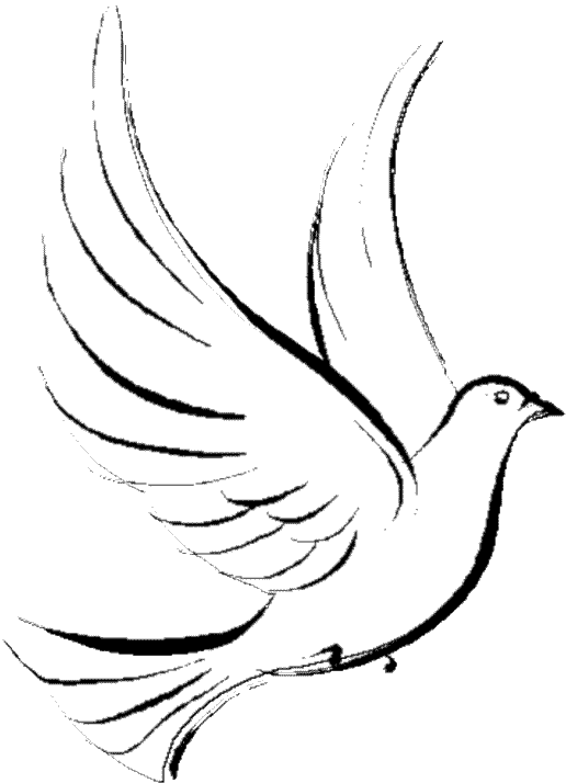 La paix est par l&agrave;