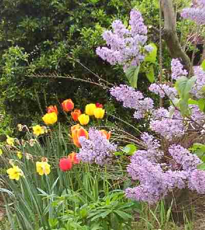 Premiers signes du Printemps - (Th&eacute;ophile Gautier)