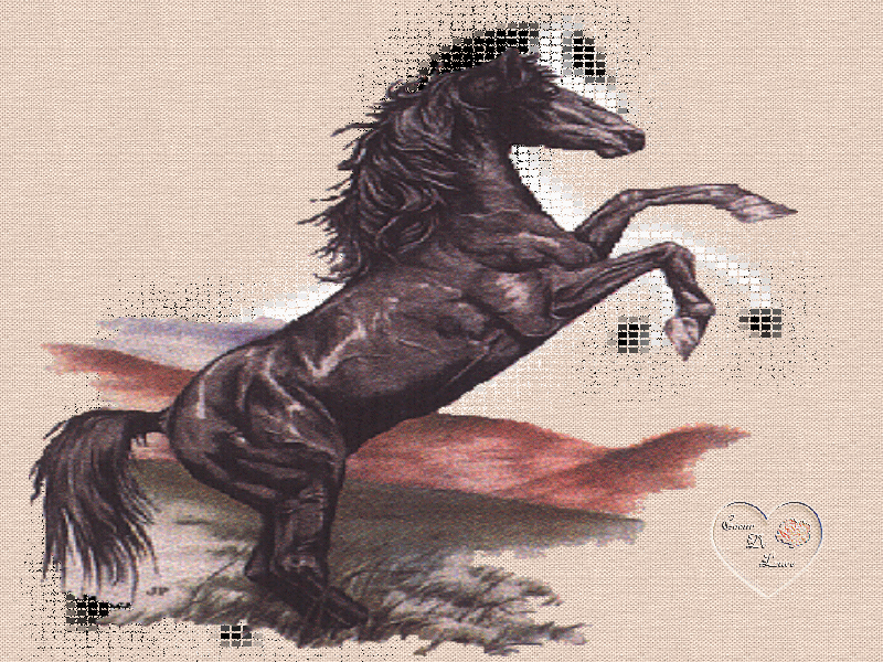 La pi&egrave;re du cheval