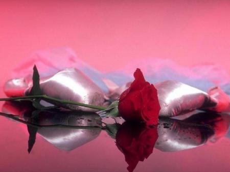 printemps reconfortant