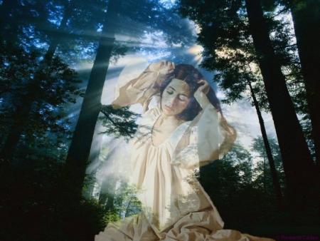 LES LE�ONS DE LA VIE