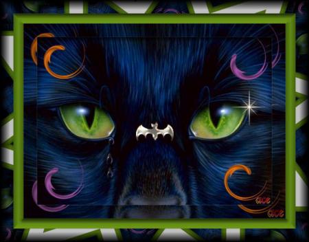 Vive l'amiti&eacute;