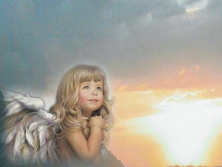 la paix  pour tout le monde