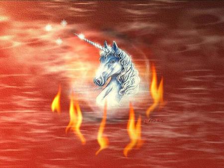 delicedamour et tgv08