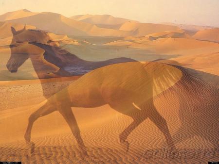 Ne touchez pas les fleurs