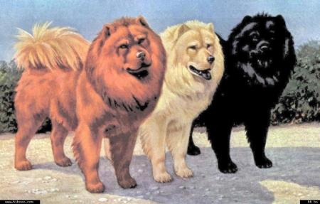 quelques pens&eacute;es