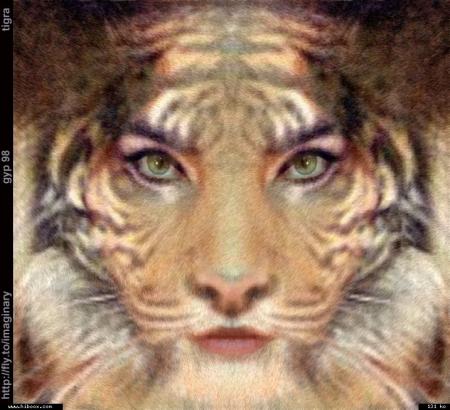 Je viens vous apporter des fleurs