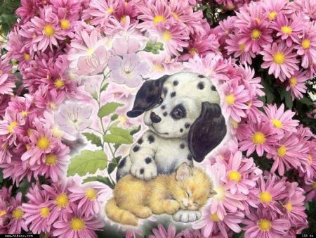 Vos &eacute;crits sont de v&eacute;ritable plaisir