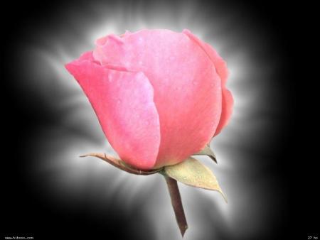 Beaut&eacute; de la nature - Quelle beaut&eacute;