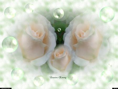 Viens au calme, go&ucirc;te le silence