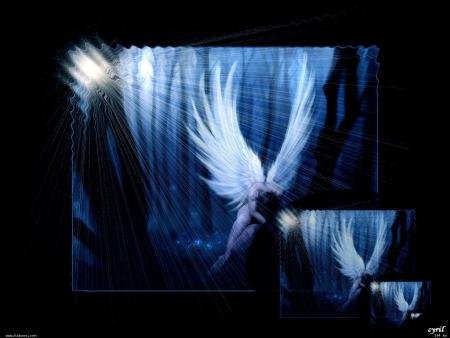 LES AMITI�S AU FIL DE LA VIE