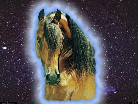 En fantastique fleur