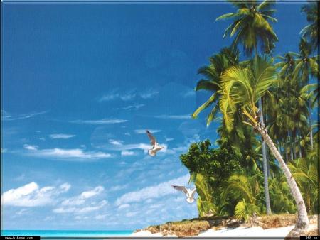 L'optimiste agit, le pessimiste subit.