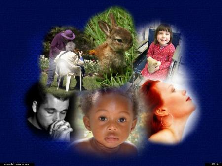 L' un des plus grands bonheurs de cette vie, c'est l'amiti&eacute;