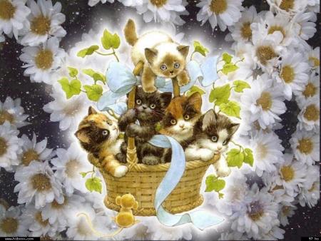 J'avais r&ecirc;v&eacute; d'une nuit de lune