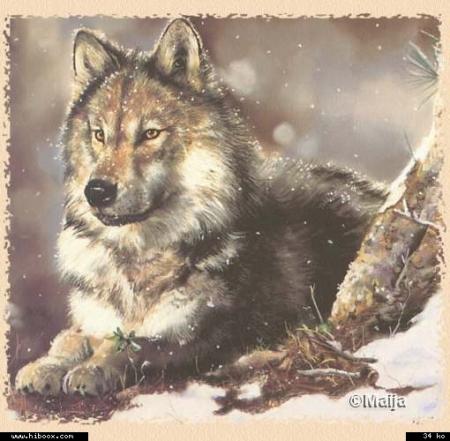 regarde dans mes yeux