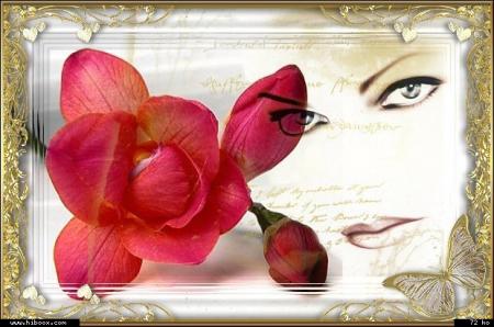 C'est la douce loi des hommes