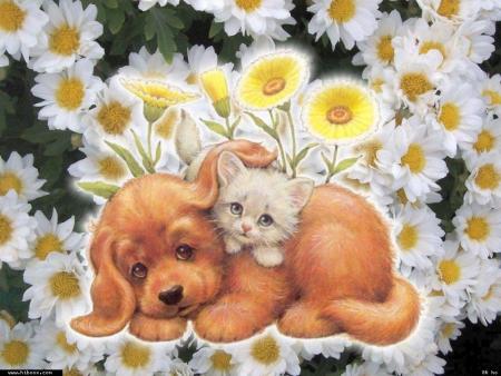 Sur le Net, un soir je tai recontr&eacute;