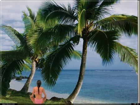 Et un jour j'ai vu une affiche sur laquelle j'ai lu: