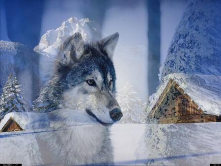 Mais o&ugrave; suis-je ?