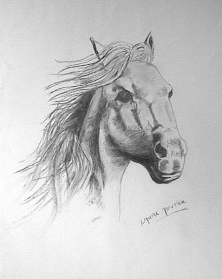 La plus noble conqu&ecirc;te de l'homme