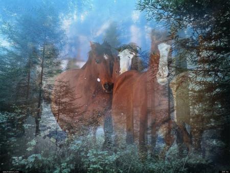 Mon r&ecirc;ve familier