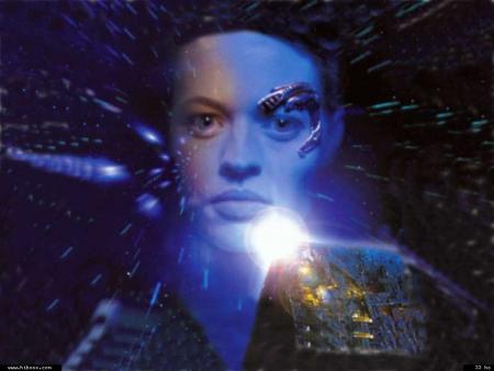 Imagine un papillon sans fleurs