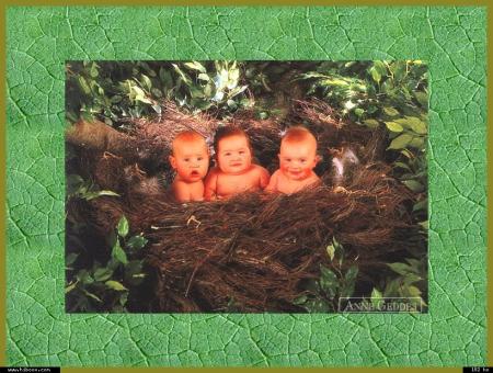 La vie passe comme un &eacute;clair