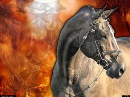 J'ai donn&eacute; mon intelligence &agrave; r&eacute;parer