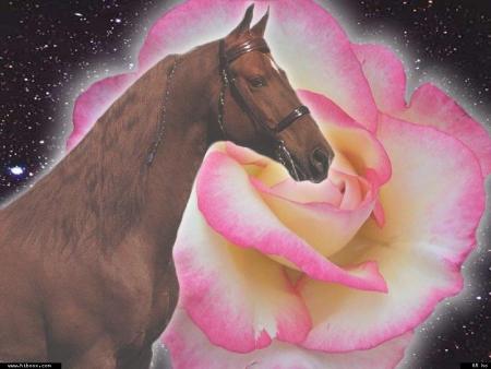 D&egrave;s l�enfance, donnez-lui tout ce qu�il d&eacute;sire