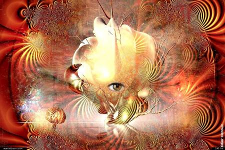 Faut-il un portefeuille &eacute;pais comme le stade Olympique ?