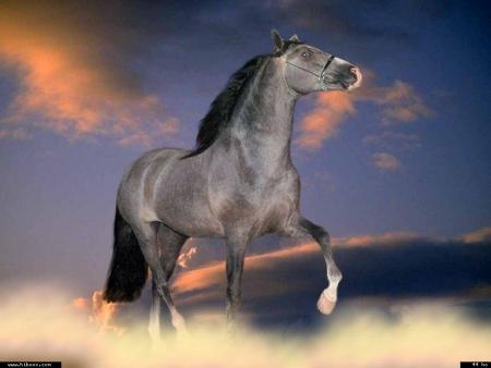 Mon nom est Libert&eacute;