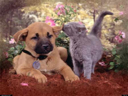 Un monde sans soleil