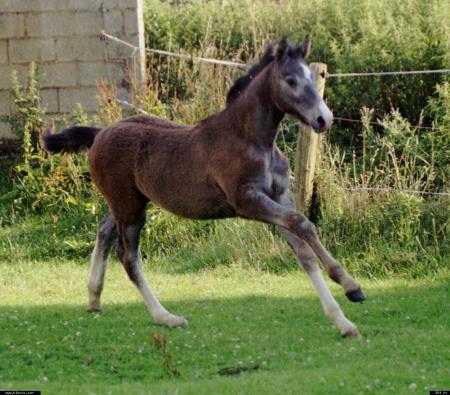 Il m'arrive de r&ecirc;ver