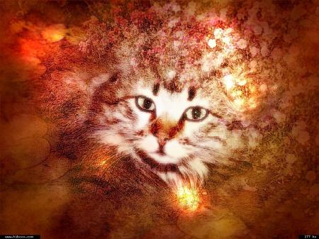 L�inspiration pour des milliers de gens