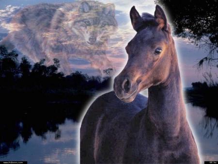 La r&egrave;gle d'or de la conduite